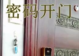 虹宇無(wú)鎖孔智能門(mén)密碼開(kāi)門(mén)演示